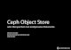 Ceph Object Store
