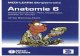 Medi-Learn Anatomie Band 6; 1. Aufl. 2007