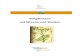 Giftpflanzen auf Wiesen und Weiden - Startseite | LELFlelf.brandenburg.de/media_fast/4055/Giftpflanzen_14.pdf · viele Stoffe, die wir mit der täglichen Nahrung aufnehmen, überdosiert
