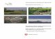 Oberirdische Gewässer Band 35 - nlwkn. · PDF fileAlle Karten des Berichts im PDF-Format . Gewässerüberwachungssystem Niedersachsen (GÜN) –Nährstoffe in niedersächsischen Oberflächengewässern