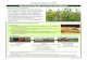 Infoblatt Natura 2000 Wie bewirtschafte ich eine FFH -Wiese? · PDF fileStand: Januar 2015 Wie bewirtschafte ich eine FFH -Wiese? Was sind FFH-Wiesen? • Bestimmte Grünlandtypen
