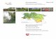 Grundwasserbericht Niedersachsen Kurzbericht 2017 · PDF fileNiedersächsischer Landesbetrieb für Wasserwirtschaft, Küsten- und Naturschutz Grundwasserbericht Niedersachsen Kurzbericht
