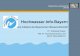 Hochwasser.Info.Bayern...Bayerisches Landesamt für Umwelt Hochwasser.Info.Bayern eine Initiative der Bayerischen Wasserwirtschaft Dr. Wolfgang Rieger Ref. 61 Hochwasserschutz und