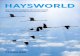 HAYSWORLD · PDF file 28 Hays’ Corner HR-Report 2014/2015: Führung bewegt Unternehmen 29 Hays’ Corner Schnelle Märkte – flexible Arbeit 30 HaysWorld online und Gewinnspiel