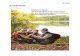 Natururlaub · 2016-06-29 · 4 Kostenschätzung: Konzeptentwicklung + Workshop „Partnerbeteiligung“ € 5.800,00 Crossmediale Content- und Medienproduktion (Filme/Fotos/Texte