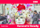Venedig Karneval mit den –BB
